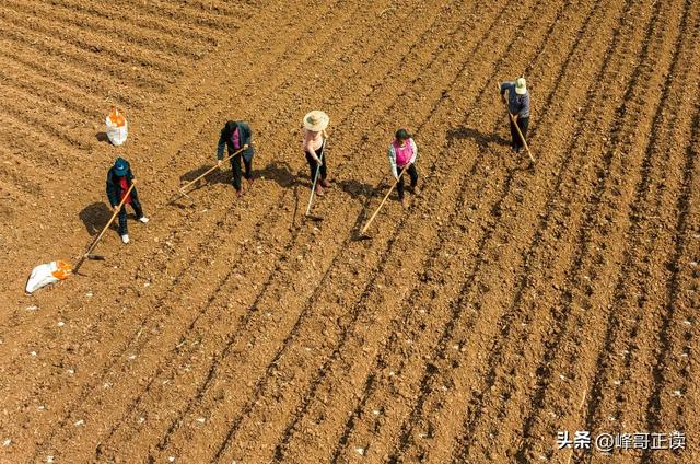 太卷了！在中国，已经无人敢跟河北人拼价格了，义乌也甘拜下风