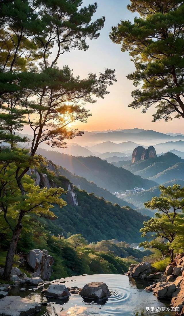 山顶古松傲然挺立，云雾缭绕如仙境，我竟品尝到超然物外的滋味