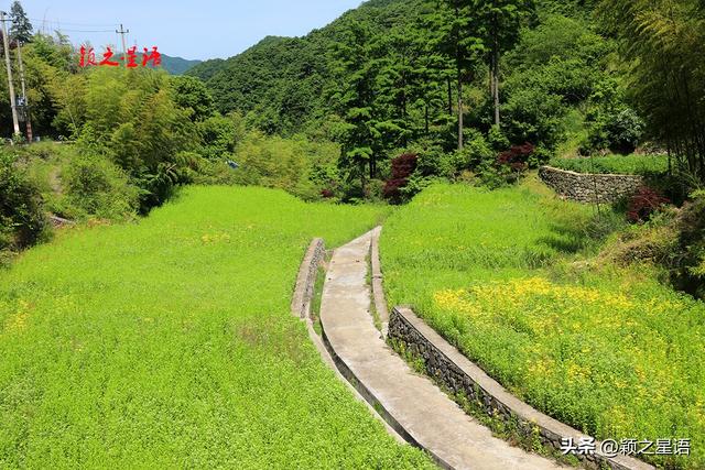 消失的赤水乡：一座水库，改变一个乡