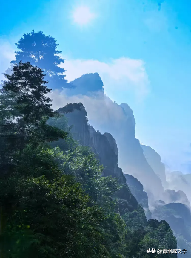 乙巳花坪避暑集锦
