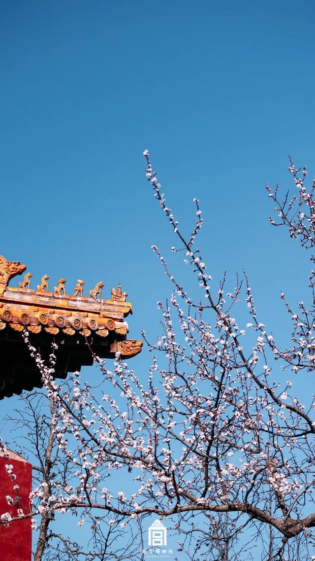 故宫四季美景一览，震撼高清美图预警！