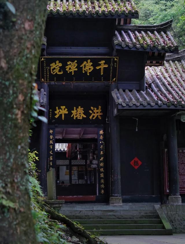 青山如黛，锦绣峨眉——峨眉山旅游攻略