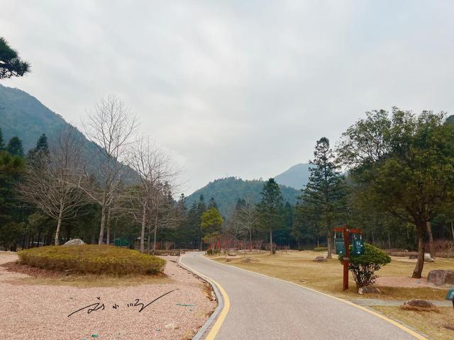 现在这个阶段，建议大家不要出国旅游，毕竟国内旅游更需要支持！