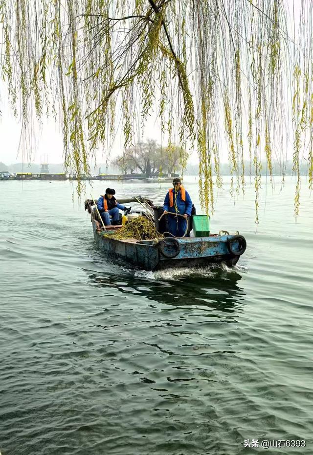 新华社原军事记者陶俊峰泉城美拍：《冬雾中的大明湖》