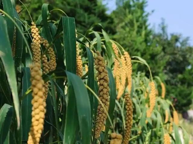 中国又一壮举！计划从天空调水，耗资2500亿的天河工程究竟是啥
