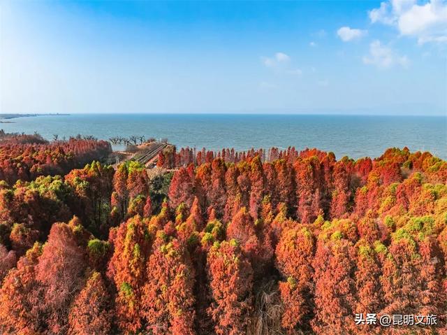 “红”爆!是谁还没有Get昆明的冬天?你知道12月的滇池有多绝?周末冲~