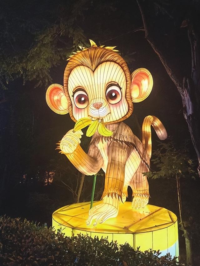 逛艺术灯会 走进动物奇妙夜 本周五开启萤火虫亲子游园会