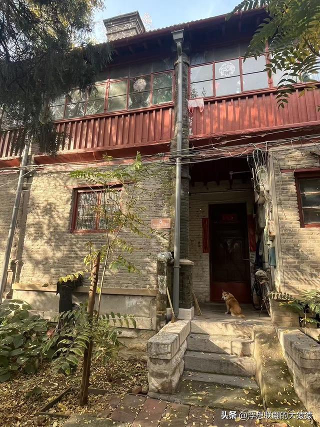 俺那天进齐鲁大学里面来了一场时空旅行（山东大学趵突泉校区）