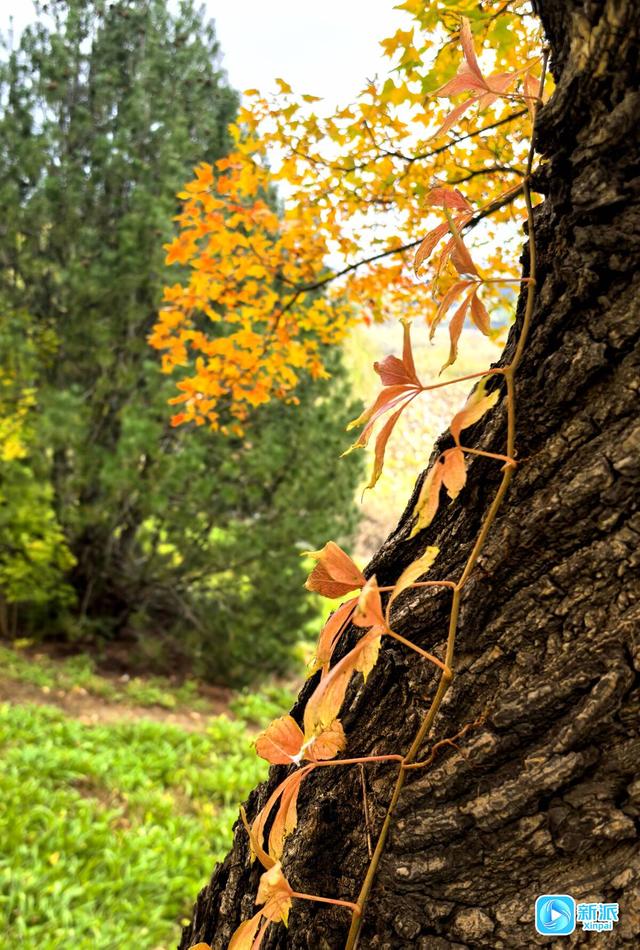 浞景无边，快乐亦无边~