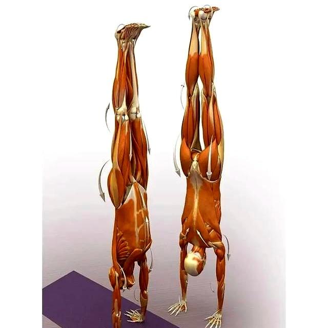 如果这12个瑜伽动作你能做到6个！说明你身体是真的很好！