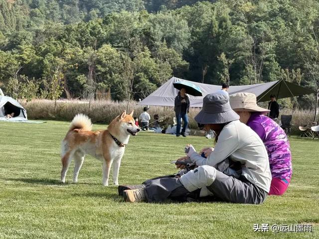 随走呈贡大学城，逛梁王湖、转小土林，感受多彩的秋冬世界，休闲
