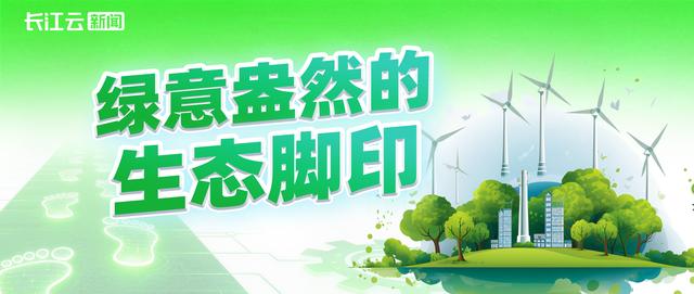 一步一个脚印，奔赴总书记的期盼