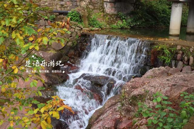 浙江宁波四明山深处的秘境，近50株古树营造油画般的风景，很好玩