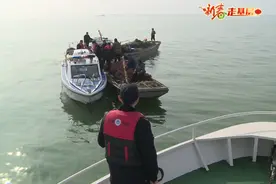 骆马湖上的生态“守护人”图片