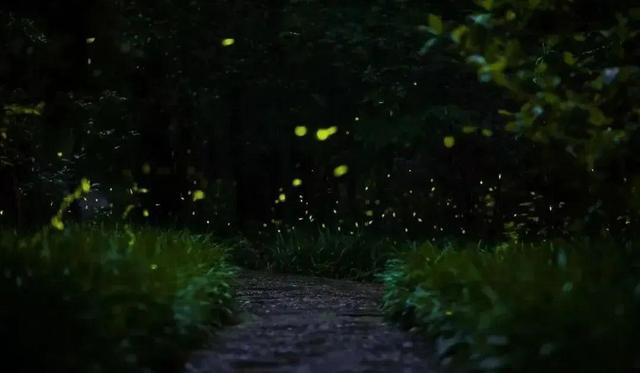 跟着赣超游鹰潭丨在鹰潭，找到避暑纳凉的N种方式