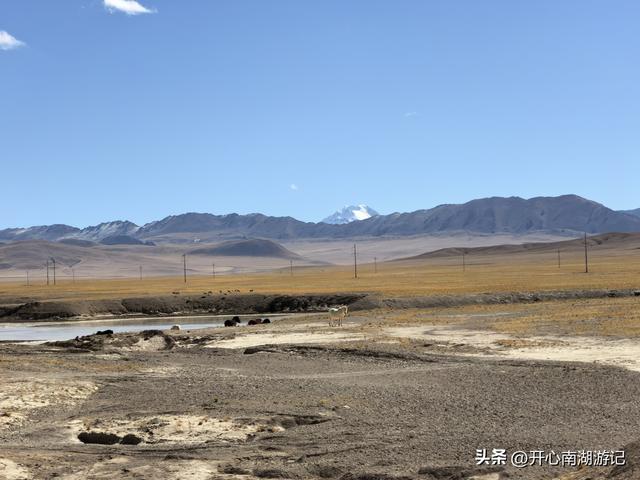 喀什经317到成都，改则-尼玛，途径大地之树、洞措湿地自然保护区