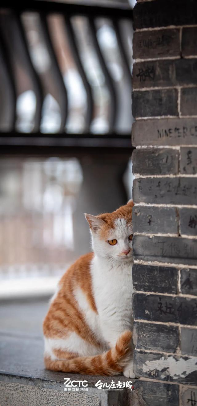 冬韵台儿庄，一键收藏古城的静谧时光