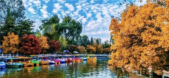 【线路产品】秋色如画！这5条临夏赏秋路线，美到不想回家！