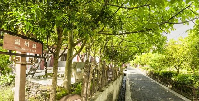 广纳天下客 元梦新蜀道 | 真心建议，来广元一定要去！村！游！
