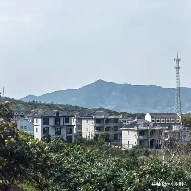 农村这4类家庭，为啥没人敢欺负？