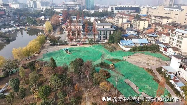 二〇二五年十二月七日，再去看看莲花池公园