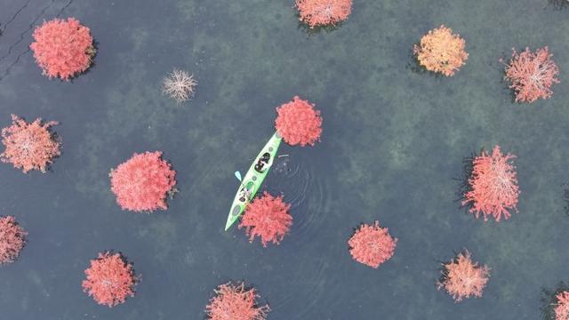 湖州换上初冬“限定皮肤”