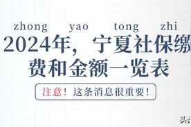 2024年宁夏企业职工和灵活就业人员：社保缴费标准一览！建议收藏图片