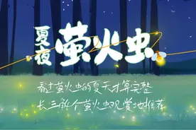 大口呼吸，自然放轻松，这些徒步欣赏萤火虫的地方，你喜欢吗？图片