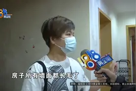 我家，你就是这么“爱”的？图片