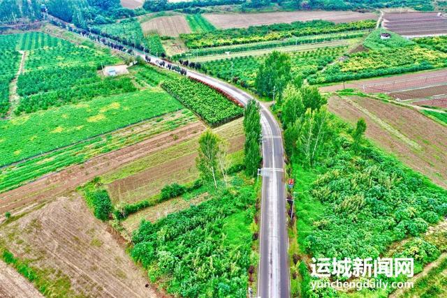 黄河一号旅游公路平陆段：层林尽染黄河岸