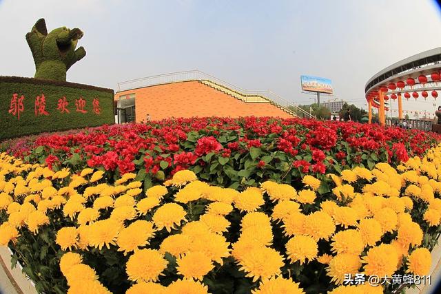认识大美河南的每个县——第37波：鄢陵