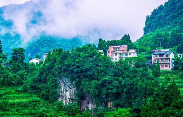 乡游黔中 · 习水县 小獐村丨此间风起,吹散人间三伏天
