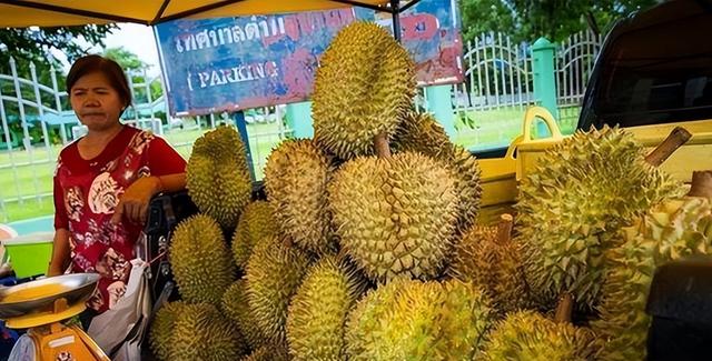 失去中国市场后，大量水果烂地里卖不出去，现在开始后悔得罪中国