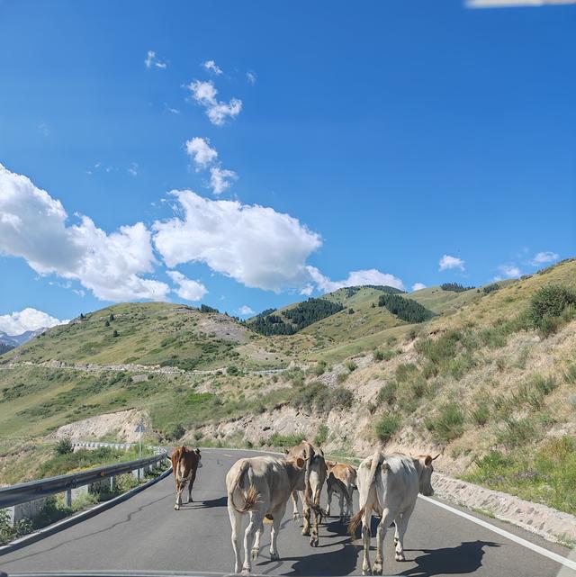 北疆行⑪——奇险的伊昭公路