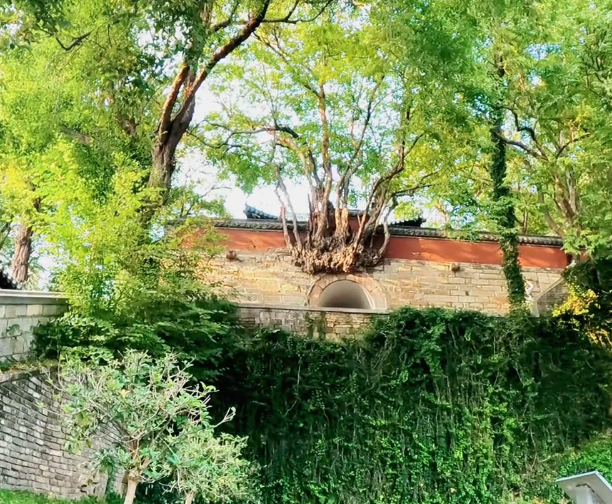 长清灵岩寺风景区门票价格，旅游攻略，交通路线