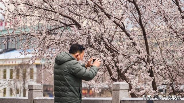 如诗如画美西宁