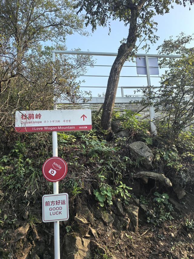 浙江湖州市德清县莫干山国家风景名胜区游记（下）