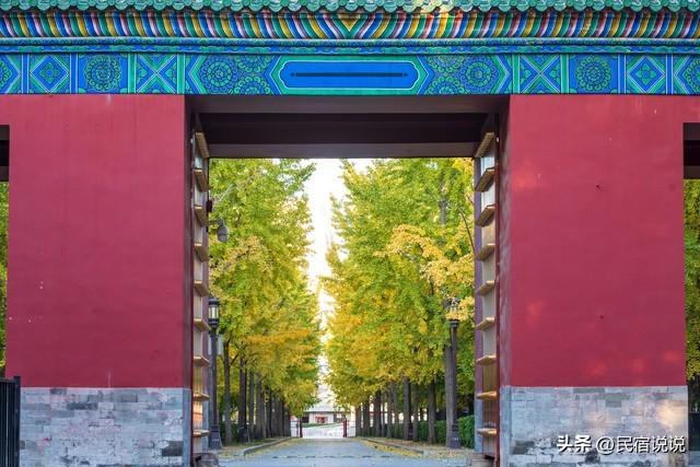 11月一定要收藏一份全国银杏观赏地图