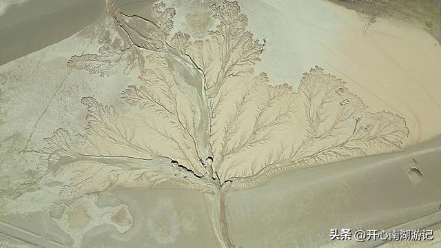 喀什经317到成都，改则-尼玛，途径大地之树、洞措湿地自然保护区