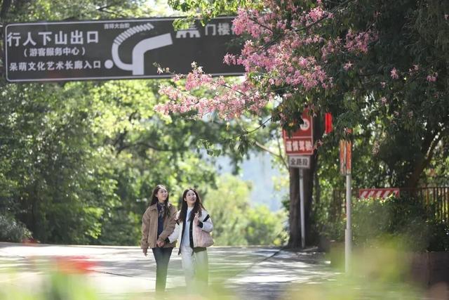 2026启新篇！来第三届东莞观音山平安迎新登高节，福气、好运收入