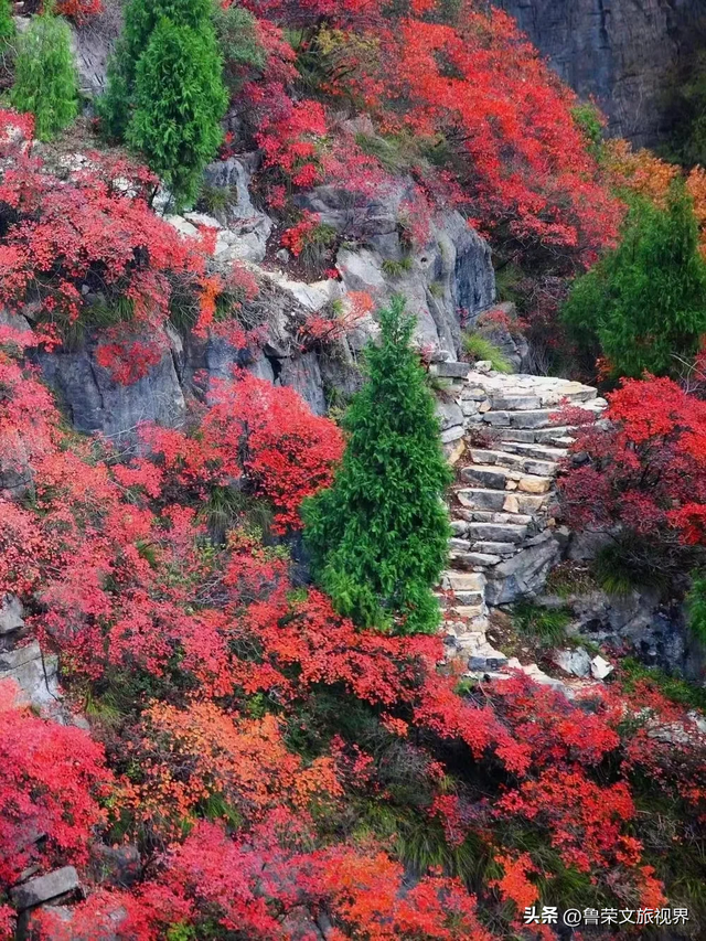 徒步三峡：霜叶漫山处，一步一千年