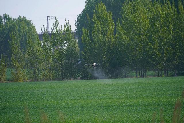 特朗普下令，要把中企一锅端	，美禁令生效前，中国取消13万吨订单