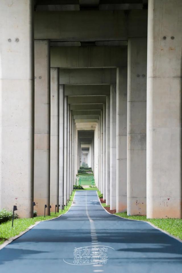 活力宝安城区指南｜山海蓝绿瞬间：山水连城，绿动宝安！