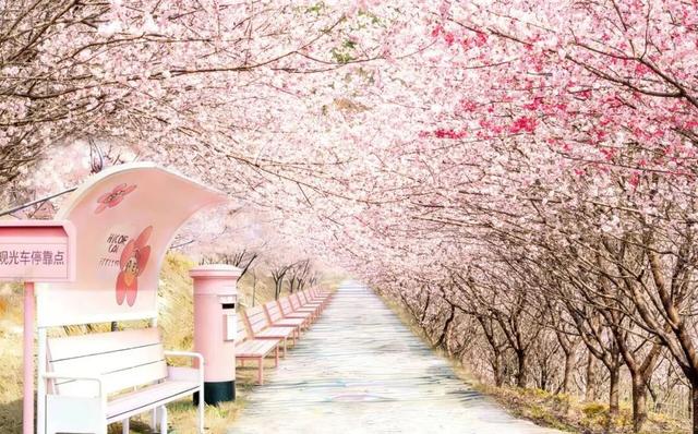 假期最后一天 宜春还能这么玩！