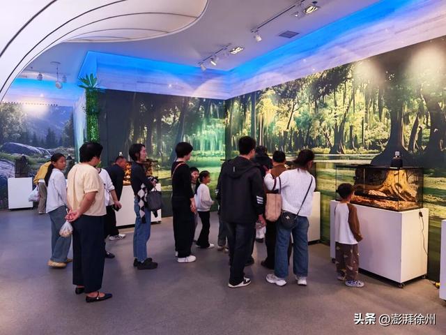 “双节”假期，在邳州过得真带劲！
