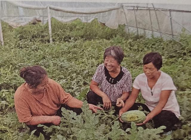 全省文化产业特色村｜民权县花园乡赵洪坡