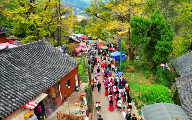 比银杏村静谧！贵州低调千年古村，被誉为“世界银杏之乡”