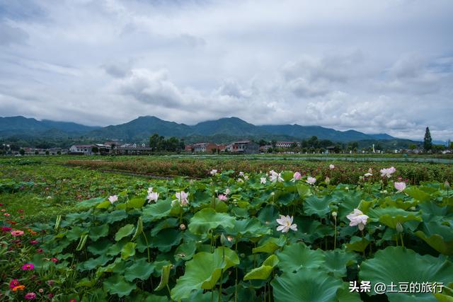 第46，甘南青海自驾游总结，说走就走的旅行，风景在路上