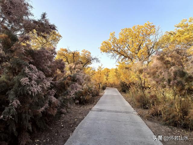 2025环南疆沙漠铁路背包自由行日记(6)---游览巴楚红海胡杨林景区