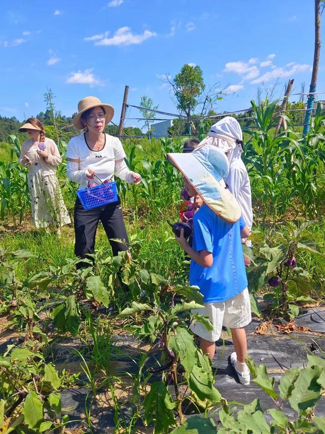 “从状元故里到世赛中国基地”系列之「从清朝贡茶到国家地理标志保护产品——珠兰花茶探秘之行」| 皖美夏日